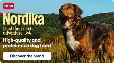 Nordika banner showcasing new premium dog food with a dog in a natural setting.