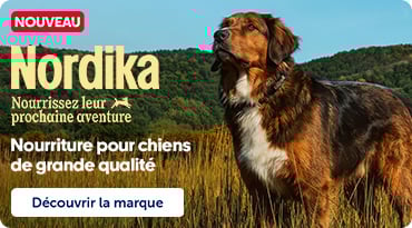 Bannière Nordika présentant de la nouvelle nourriture pour chiens haut de gamme avec un chien en nature.