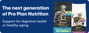 Triple-action formulas backed by years of research to deliver life-changing support for digestive health or healthy aging.