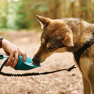 Camping et plein air