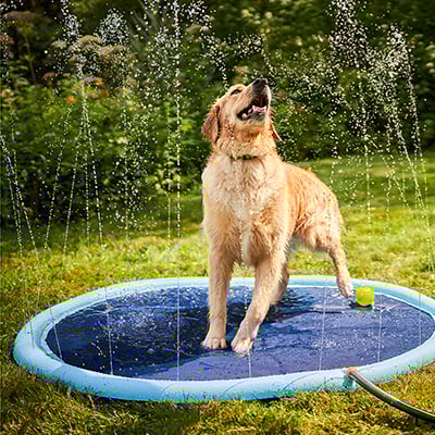 Pour les journées chaudes