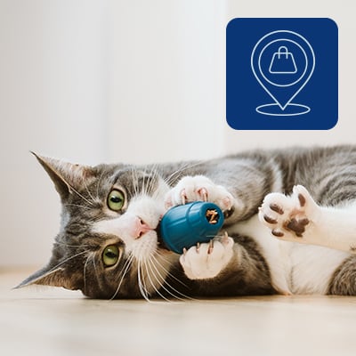 Pour les journées chaudes