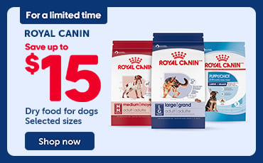 Royal Canin promotional banner stating “For a limited time,” featuring savings of up to $15 on dry dog food (selected sizes). Three bags of dog kibble are shown, along with a “Shop now” button.