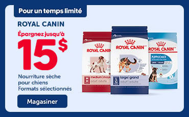 Bannière promotionnelle Royal Canin indiquant « Pour un temps limité », avec une offre d’économies allant jusqu’à 15 $ sur de la nourriture sèche pour chiens (formats sélectionnés). Trois sacs de croquettes pour chiens sont affichés, avec un bouton « Magasiner ».