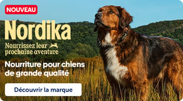 Bannière Nordika présentant de la nouvelle nourriture pour chiens haut de gamme avec un chien en nature.
