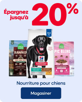 Épargnez jusqu'à 20% - Nourriture pour chiens