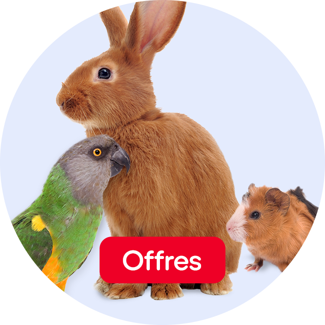Offre pour oiseaux et petits animaux