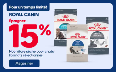 Visuel promotionnel Royal Canin annonçant une économie de 15 % pour un temps limité sur la nourriture sèche pour chats en formats sélectionnés. L’image présente trois sacs de nourriture pour chats Royal Canin ainsi qu’un bouton « Magasiner ».