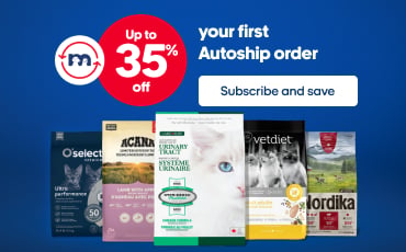 Promotional banner stating “Flyer deals.” Central text reads “Save up to 25% on selected products” with a “View our offers” button. On the right, a brown cat is lying in a woven basket.