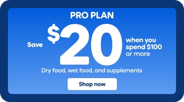 Promotional banner for Pro Plan pet food. Main text reads: “Save $20 when you spend $100 or more.” On the left is a blue background with the promotion and a “Shop now” button. In the center are various Pro Plan products (bags of dry food, cans, and supplements) featuring images of dogs and cats on the packaging. On the right, a dog is eating from a raised feeding bowl with blurred apples in the background.