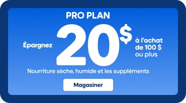 Bannière publicitaire pour la nourriture pour animaux Pro Plan. Texte principal : « Épargnez 20 $ à l’achat de 100 $ ou plus ». À gauche, un fond bleu avec l’offre promotionnelle et un bouton « Magasiner ». Au centre, plusieurs produits Pro Plan (sacs de nourriture sèche, boîtes et suppléments) avec images de chiens et chats sur les emballages. À droite, un chien mange dans une gamelle surélevée, avec des pommes floues en arrière-plan.