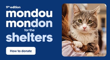 Mondou Mondon campaign banner for shelters: a tabby cat is being held in someone’s arms, alongside the text “Every donation is the beginning of a beautiful adoption story” and a “How to give” button.
