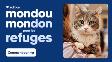 Bannière promotionnelle Mondou Mondon pour les refuges : un chat tigré est tenu dans les bras d’une personne, avec le texte « Chaque don est le début d’une belle histoire d’adoption » et un bouton « Comment donner ».