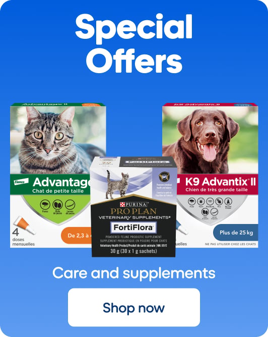 Offer 6