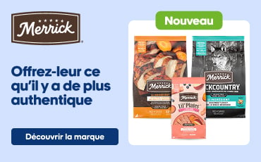 Bannière publicitaire Merrick montrant une gamme de sacs de nourriture pour chiens avec l’étiquette « Nouveau », accompagnée d’un chien en train de manger dans une cuisine. Texte : « Offrez-leur ce qu’il y a de plus authentique. » Bouton « Découvrir la marque ».