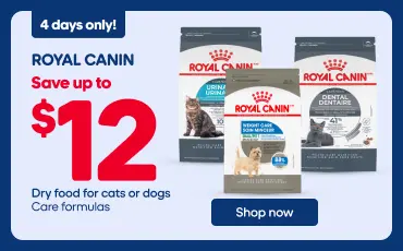 Royal Canin promotional banner: Save up to $12 on dry cat or dog food, Care formulas. Offer valid for 4 days only. On the right, a tabby cat plays in the grass with a toy.