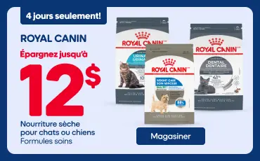 Bannière promotionnelle Royal Canin : économisez jusqu'à 12 $ sur la nourriture sèche pour chats ou chiens, formules soins. Offre valide pendant 4 jours seulement. À droite, un chat tigré joue dans l'herbe avec un jouet.