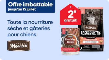 Bannière publicitaire Merrick montrant une gamme de sacs de nourriture pour chiens avec l’étiquette « Nouveau », accompagnée d’un chien en train de manger dans une cuisine. Texte : « Offrez-leur ce qu’il y a de plus authentique. » Bouton « Découvrir la marque ».