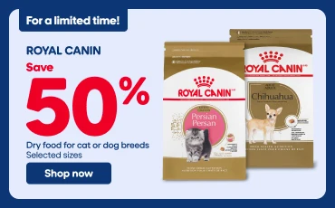 Limited-time Royal Canin promotion offering 50% off selected dry cat and dog food. Two Royal Canin pet food bags are displayed on the left beside promotional text reading “Save 50%” and “Shop Now.” On the right, a brown dachshund wearing a collar and leash stands outdoors on a forest path with trees and foliage in the background.