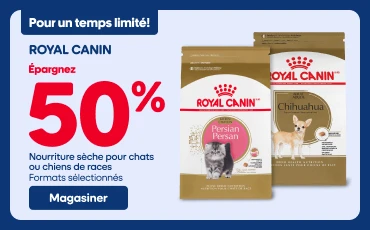 Promotion Royal Canin offrant 50 % de rabais sur une sélection de nourritures sèches pour chats et chiens. Deux sacs de nourriture pour animaux sont affichés à gauche, tandis qu’à droite, un chien brun à poil court porte un collier et une laisse lors d’une promenade en forêt. Texte visible : « Pour un temps limité », « Épargnez 50 % » et « Magasiner ».