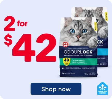 Advertisement for OdourLock clumping cat litter. Two bags of OdourLock litter featuring a gray cat with blue eyes are displayed in the center of the image. A promotional offer reads “2 for $42” in large red text.