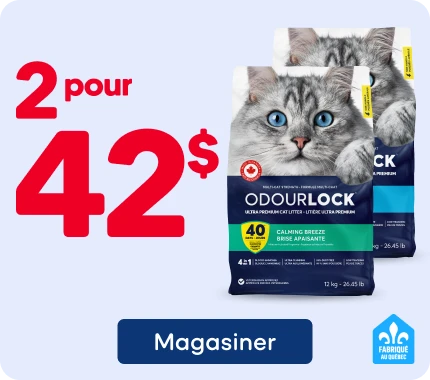 Publicité pour la litière agglomérante OdourLock. Deux sacs de litière illustrés avec la photo d’un chat gris aux yeux bleus sont présentés au centre de l’image. Une offre promotionnelle indique « 2 pour 42 $ » en gros caractères rouges.