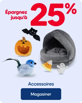ÉPARGNEZ JUSQU'À 25% - Accessoires