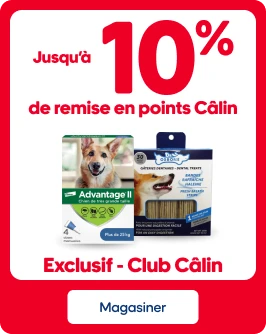 Jusqu'à 10% de remise en points Câlin