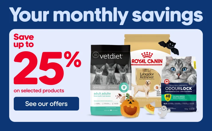 Your monthly savings Mondou flyer from August 27 to September 9, 2026.