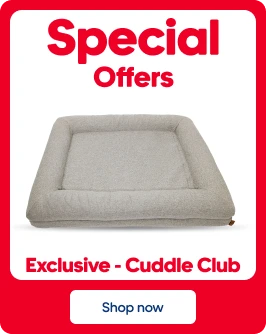 Special Offer