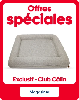 Offres spéciales