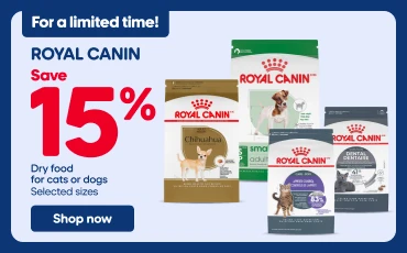 Royal Canin promotional banner. On the left, the text “For a limited time!” and “Save 15%” on selected dry food for cats and dogs. Several Royal Canin dry food bags for dogs and cats are displayed. A “Shop Now” button appears at the bottom of the banner. On the right, a dog wearing a jacket is sitting on an autumn leaf-covered trail in a wooded park.