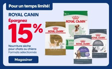 Bannière promotionnelle Royal Canin. À gauche, le texte « Pour un temps limité! » et « Épargnez 15 % » sur la nourriture sèche pour chats ou chiens, formats sélectionnés. Plusieurs sacs de nourriture sèche Royal Canin pour chiens et chats sont présentés. Un bouton « Magasiner » apparaît au bas de la bannière. À droite, un chien portant un manteau est assis sur un sentier couvert de feuilles d’automne dans un parc boisé.