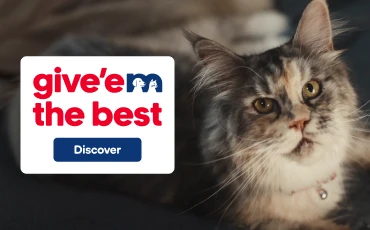 Promotional banner give'em the best, with grey cat.
