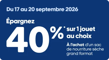 Publicité Mondou des Jours Gros Rabais. Dans la section bleue, une offre promotionnelle indique : « Épargnez 40 % sur 1 jouet à l’achat de nourriture sèche grand format ». À droite, plusieurs jouets pour animaux sont illustrés, dont une peluche, des jouets à corde, une balle et divers accessoires colorés. Offre valide du 17 au 20 septembre 2026, en ligne et en magasin.