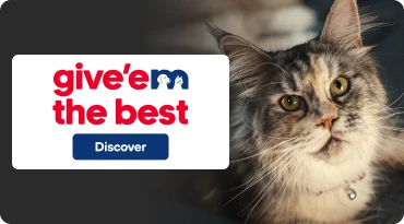 Promotional banner give'em the best, with grey cat.