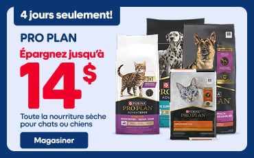 Promotion Pro Plan pour chiens et chats : économisez jusqu’à 14 $ sur la nourriture sèche.