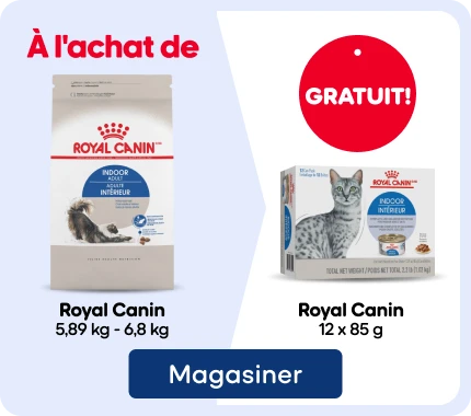Promotion Royal Canin pour chats : à l’achat d’un sac sélectionné de nourriture sèche Royal Canin (5,89 kg à 6,8 kg), obtenez gratuitement une boîte de nourriture humide Royal Canin  12 × 85 g, d’une valeur pouvant atteindre 39,49 $.