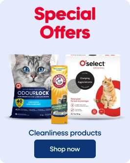 Special Offers - Cleanliness