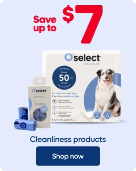 Special Offers - Cleanliness