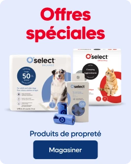 Offres spéciales - Propreté