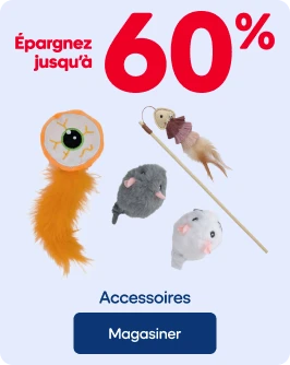 ÉPARGNEZ JUSQU'À 60% - Accessoires