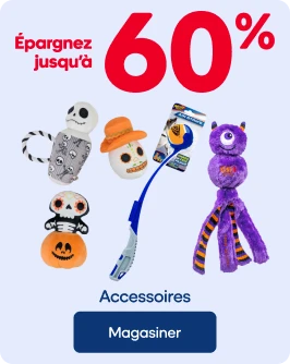 ÉPARGNEZ JUSQU'À 60% - Accessoires