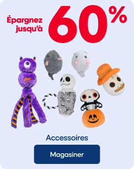 ÉPARGNEZ JUSQU'À 60% - Accessoires