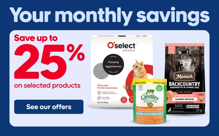 Your monthly savings Mondou flyer from October 22 to November 4.