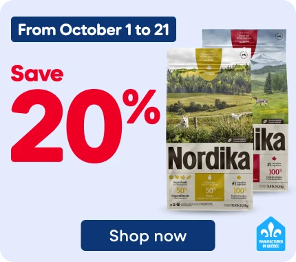 Nordika dry dog food: Save 20% on selected bags.