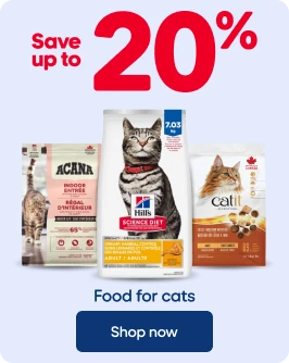SAVE UP TO 20% - Food for cats