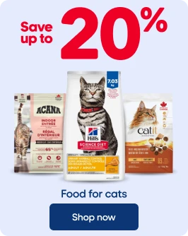 SAVE UP TO 20% - Food for cats