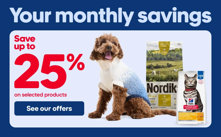 Your monthly savings Mondou flyer from October 1 to 14.