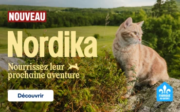 Bannière promotionnelle Nordika montrant un chat roux assis sur un rocher dans un paysage verdoyant. Le visuel affiche le texte « NOUVEAU », « Nordika » et « Nourrissez leur prochaine aventure », avec un bouton « découvrir ». Logo « Fabriqué au Québec » dans le coin inférieur droit.